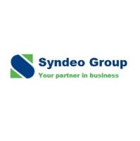 Syndeo Group image 1